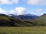 SDC10847.JPG