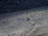 SDC10870.JPG