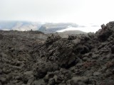 SDC10878.JPG