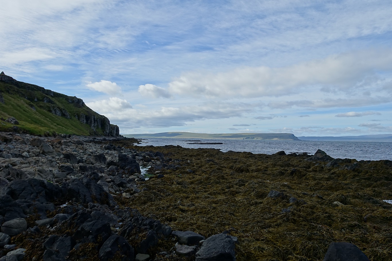 DSC03902