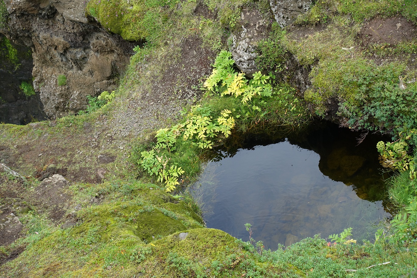 DSC03943