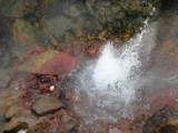 DSC03703.JPG