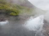 DSC03711.JPG