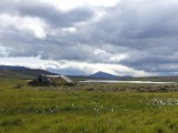 DSC03771.JPG