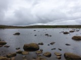 DSC03782.JPG