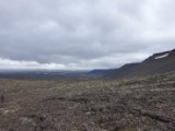 DSC03792.JPG