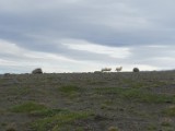 DSC03816.JPG