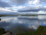 DSC03833.JPG