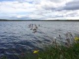 DSC03867.JPG