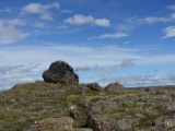 DSC03880.JPG