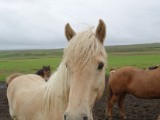 DSC03885.JPG