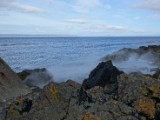 DSC03897.JPG