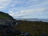 DSC03902.JPG
