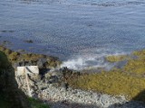 DSC03904.JPG