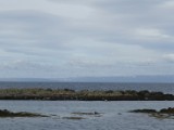 DSC03909.JPG