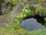 DSC03943.JPG