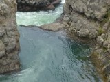 DSC03954.JPG
