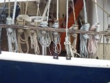 SDC12685.JPG