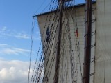 SDC12710.JPG