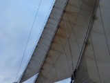 SDC12719.JPG