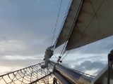 SDC12721.JPG