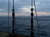 SDC12730.JPG