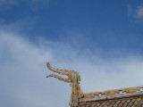 SDC10365.JPG