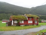 SDC10428.JPG