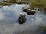 SDC10518.JPG