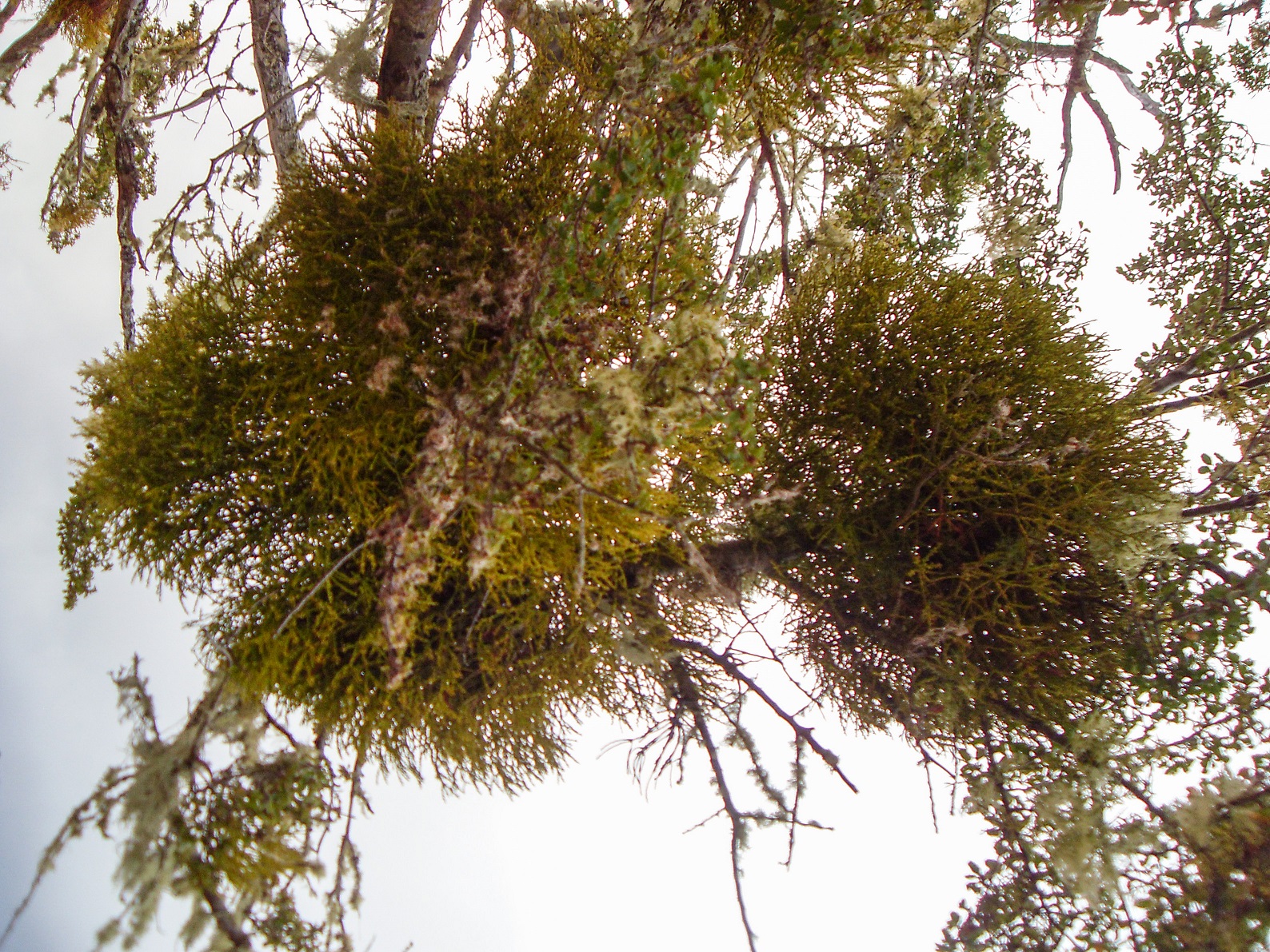 20160217_14_Estancia