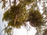 20160217_14_Estancia.jpg