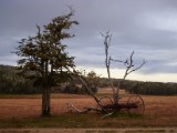 20160217_21_Estancia.jpg