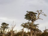 20160217_9_Estancia.jpg
