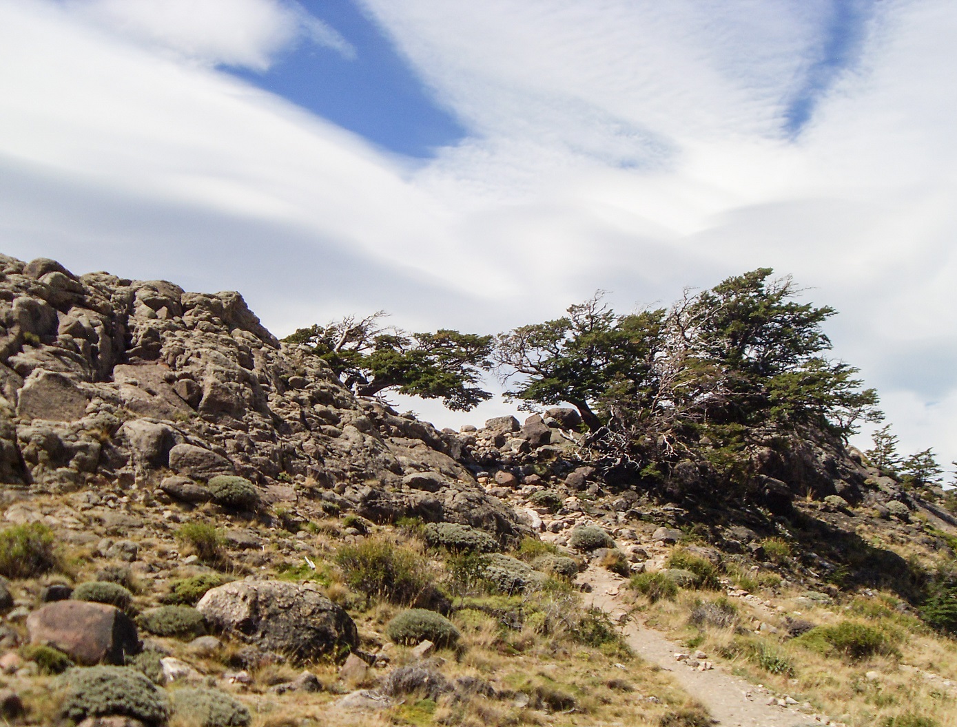 20160207_18_NationalparkLosGlaciares