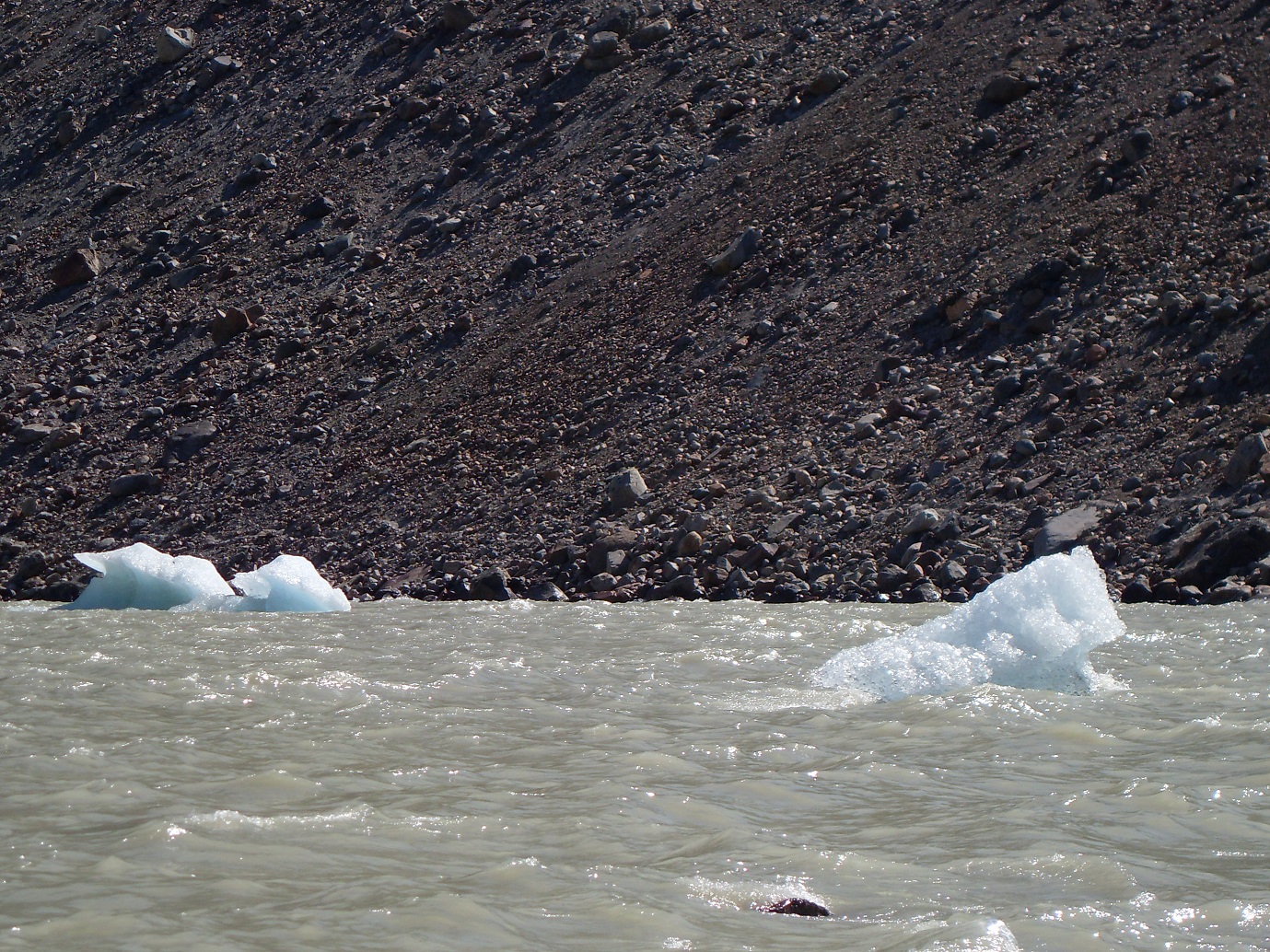 20160209_10_NationalparkLosGlaciares