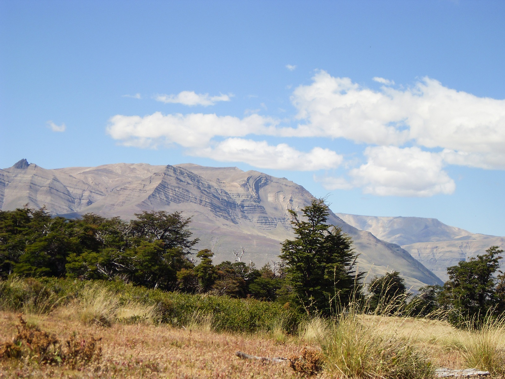 20160210_14_NationalparkLosGlaciares
