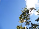 20160207_16_NationalparkLosGlaciares.jpg