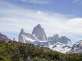 20160207_20_FitzRoy.jpg