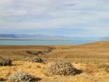 20160207_2_PatagonischeSteppe.jpg