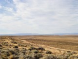 20160207_3_PatagonischeSteppe.jpg