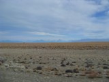 20160207_8_PatagonischeSteppe.jpg