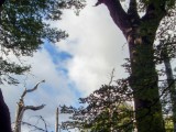 20160208_6_NationalparkLosGlaciares.jpg