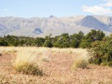 20160210_17_NationalparkLosGlaciares.jpg