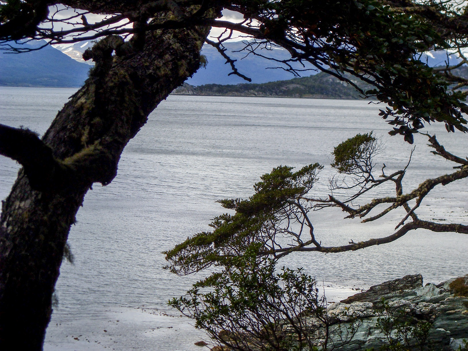 20160219_1_NationalparkTierraDelFuego