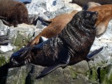 20160218_23_BeagleKanal.jpg