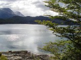 20160219_10_NationalparkTierraDelFuego.jpg