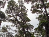 20160219_17_NationalparkTierraDelFuego.jpg