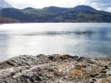 20160219_8_NationalparkTierraDelFuego.jpg