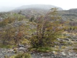 20160216_2_ZumGreyGletscher.jpg