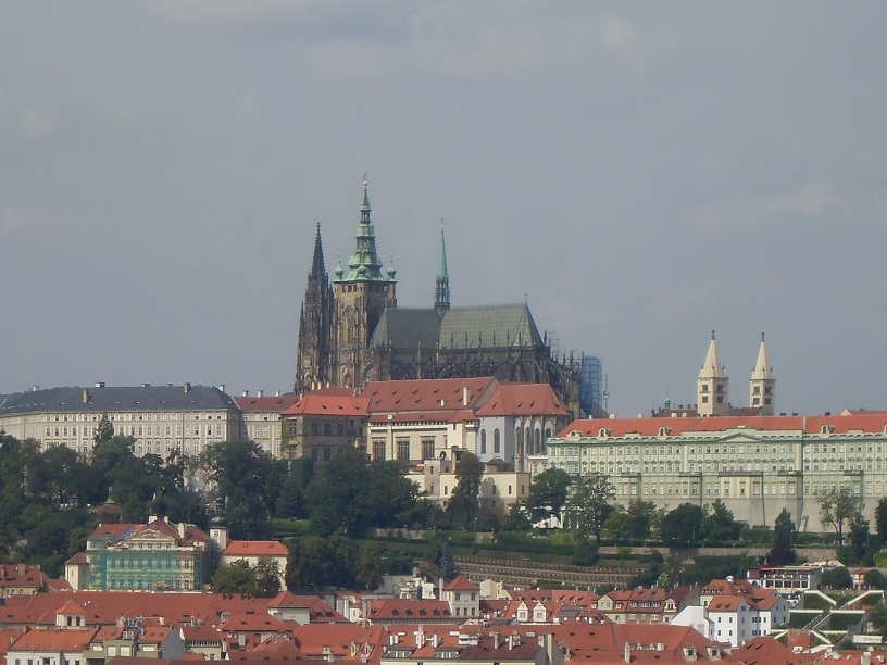 SDC11905